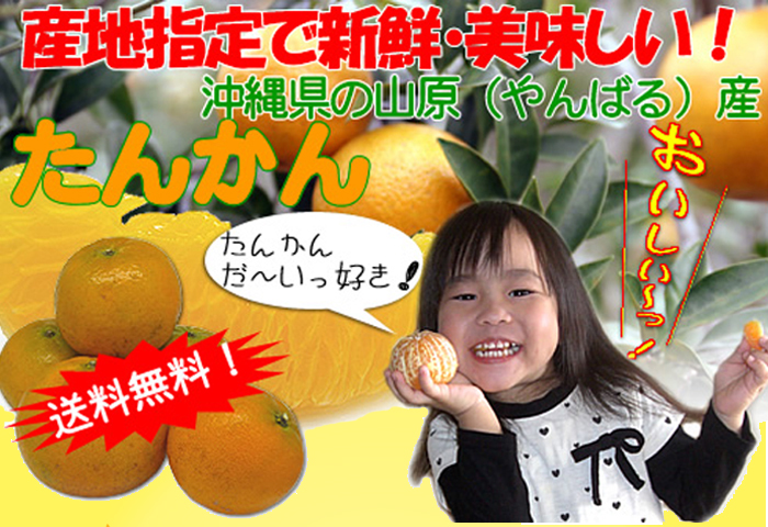 たんかん・大好き!