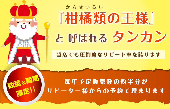 たんかん画像2