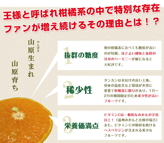 たんかんとは?