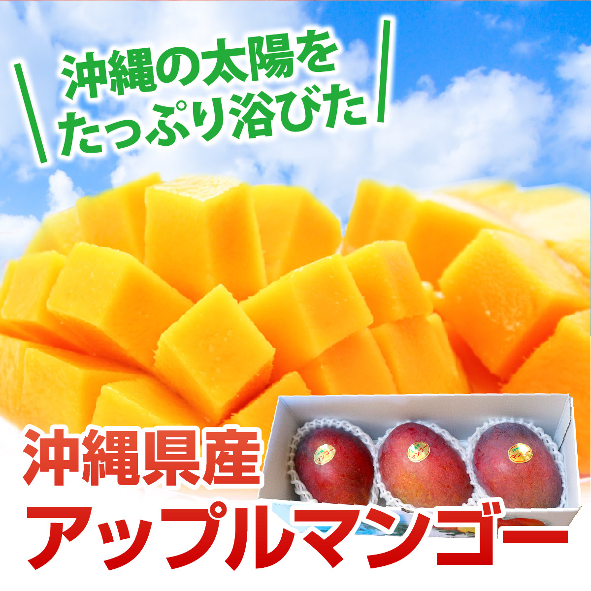 沖縄県産 アップルマンゴー 家庭用 約2kg（4玉～9玉）