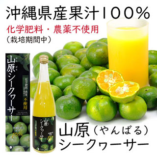 メール便送料無料 太もずくスープ 3食入 シークヮーサー果汁入 4個セット 日付指定不可 琉球フロントonlineshop